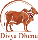 Divya Dhenu